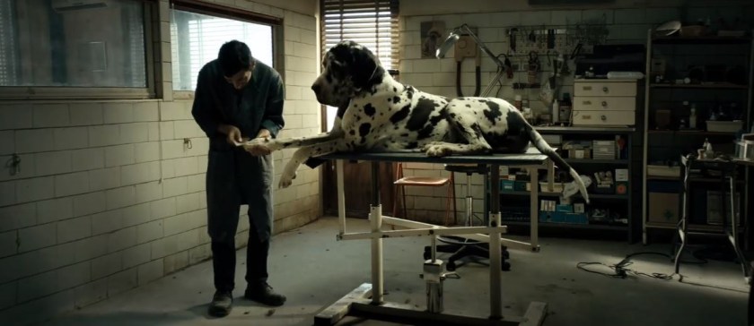 Dogman-Garrone-1200x520
